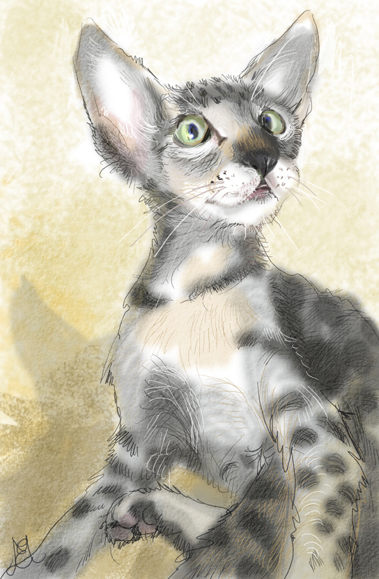 ��� ������ � �������