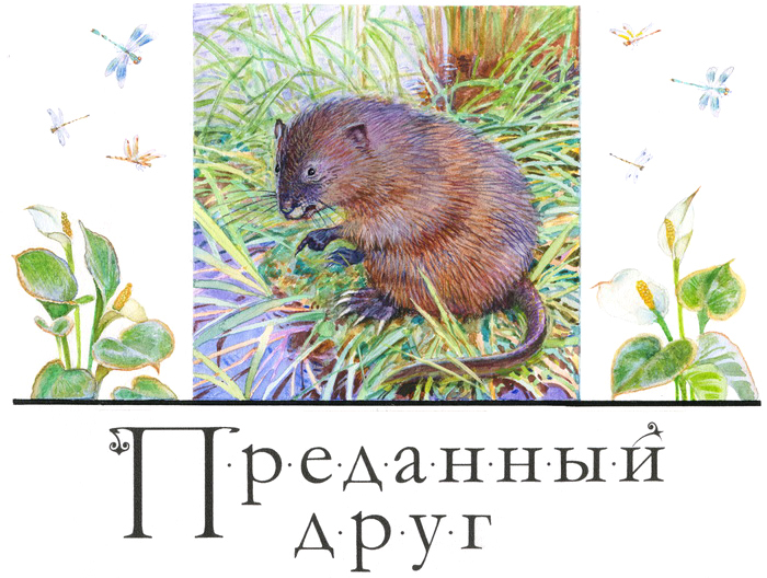 405285_square