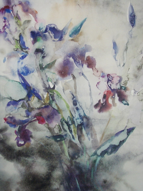 45679_square