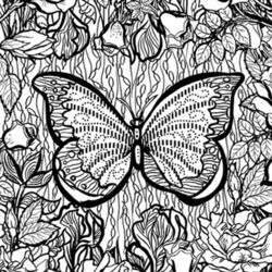 раскраска мандала “Бабочка”