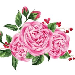 Букет из розовых садовых пионовидных роз
