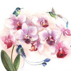 Нежная орхидея и колибри