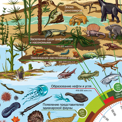 Плакат "Эволюция видов и развитие человеческой цивилизации"