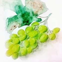Акварельный виноград