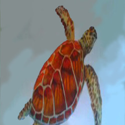 Черепаха 2
