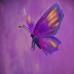 Butterfly/Бабочка 