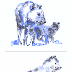 Полярный волк и полярный лис
