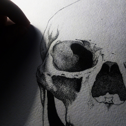 Skull (in progress)