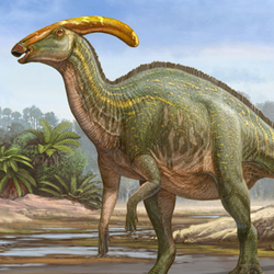 Parasaurolophus tubicen