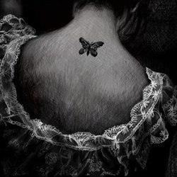 Бабочка | Нраффити