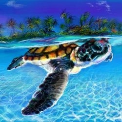 Морская черепаха | Нраффити