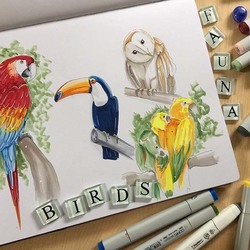 Birds Sketch