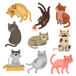 Коты 9 персонажей