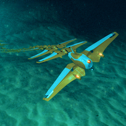 sea drone 
