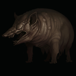 Chlomoside: pig
