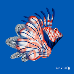 Рыба-петух