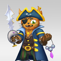 Кот пират