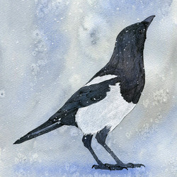 Птица зимой (2).