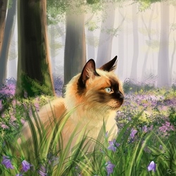 Кошка в волшебном лесу