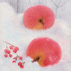 Яблочки в снегу