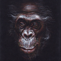 Черновик для серии работ - "обезьяны"