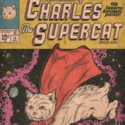Adventures of Charles The Supercat