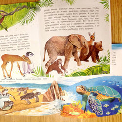 Иллюстрации для книги о животных