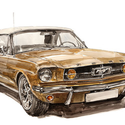 Ford Mustang 1965, рисунок