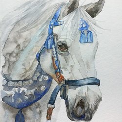 Лошадь2