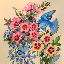 Голубая сиалия цветы, букет