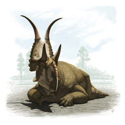Diabloceratops (динозавр)