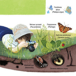 Иллюстрация для книги о природе 3