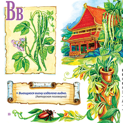 Иллюстрация к "Овощной азбуке" Людмилы Соломиной