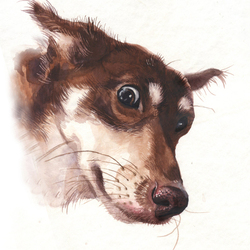портрет собачки