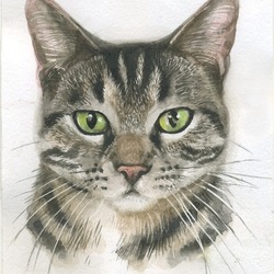 портрет котика