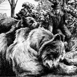 Смерть Медведицы