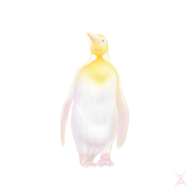 пингвин альбинос