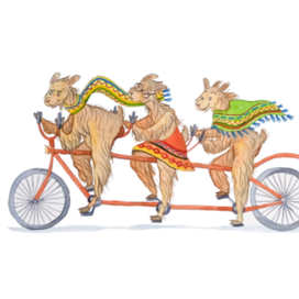Ламы на велосипеде