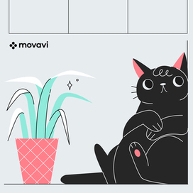 Котик для бинго Movavi
