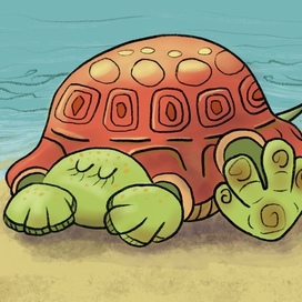 Черепаха отдыхает
