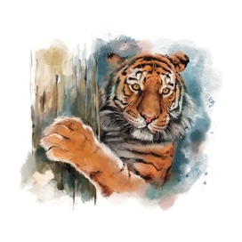 Watercolour tiger 