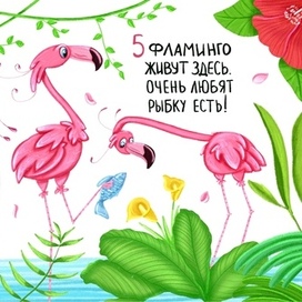 Весёлые фламинго