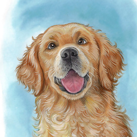 Иллюстрация для книги о собаках для канадского автора 