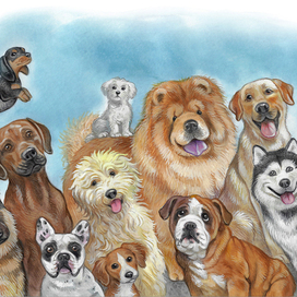 Иллюстрация для книги о собаках, для канадского автора