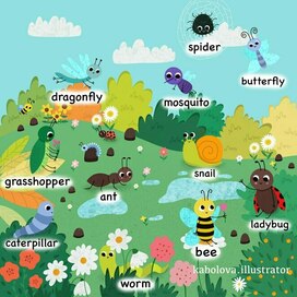 Мир насекомых. Для детских познавательных книг.