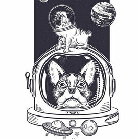 Собаки-астронавты
