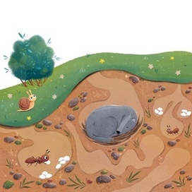 Иллюстрация из книги Прогулка по лесу