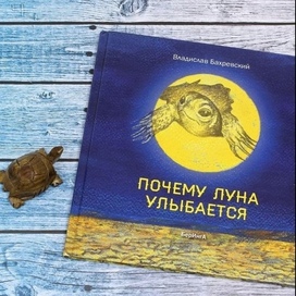 Книга "Почему Луна улыбается" Владислав Бахревский 