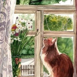 котик у окна
