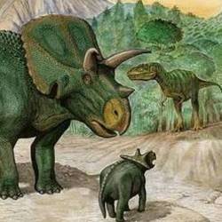 Arrhinoceratops and albertosaurus
